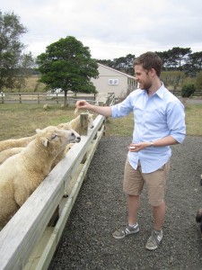 Dan does his best to avoid getting bit by the hungry sheep