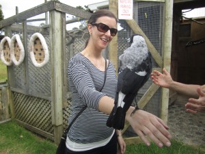 Ann Taylor holds a bird