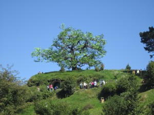 The oak tree growing on the roof of Bag End