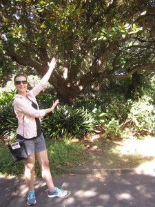 Ann Taylor shows off a magnolia tree